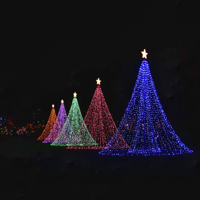 Several Christmas trees  each with a single colour of lights. Each has a star on top.
