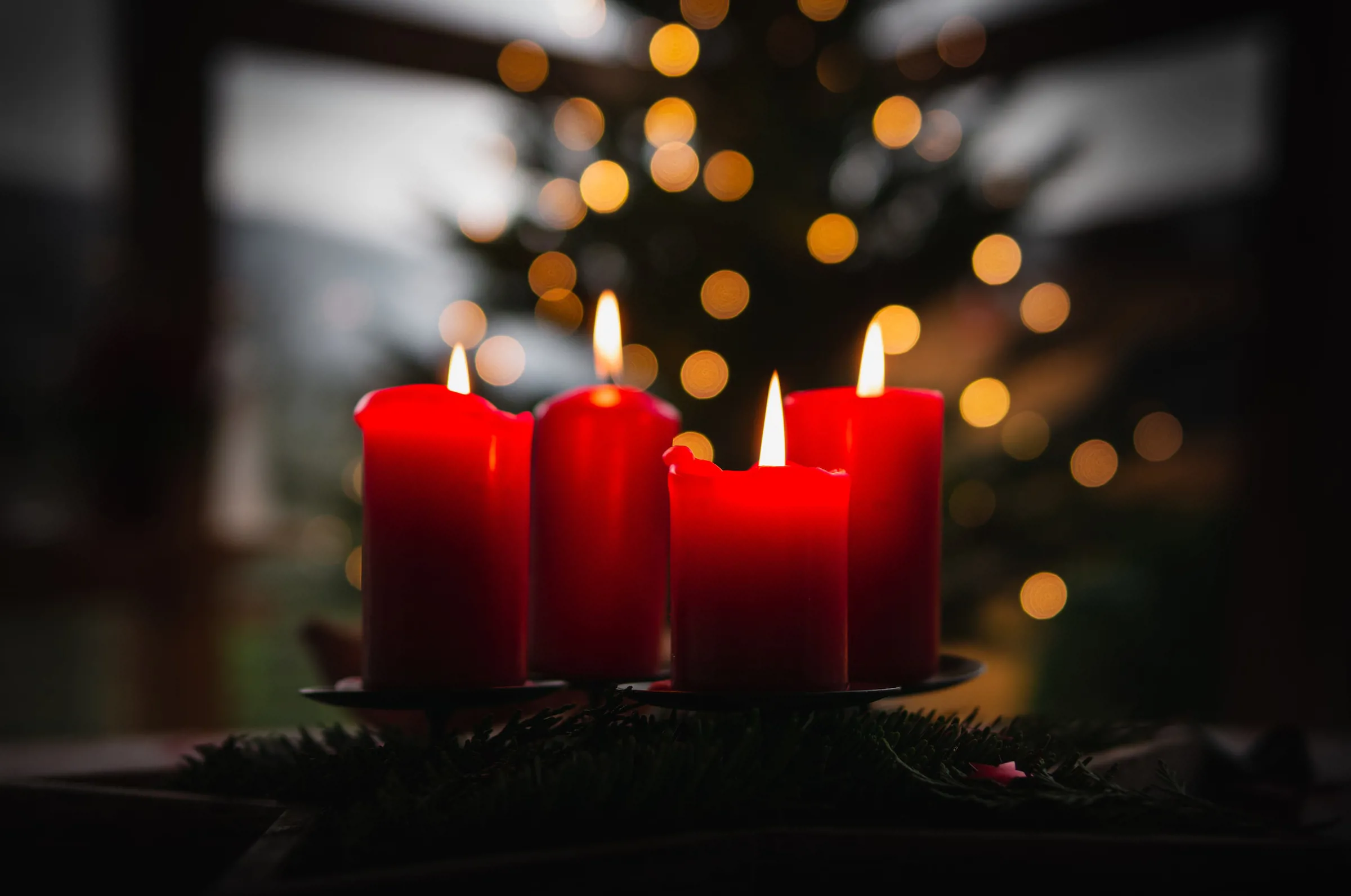 4 red Christmas candles in front of a tree with lights on it