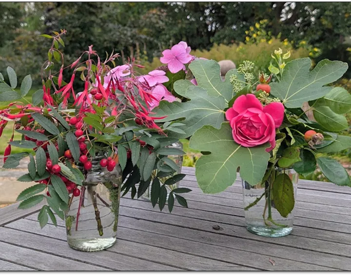Summers flowers in jam jars