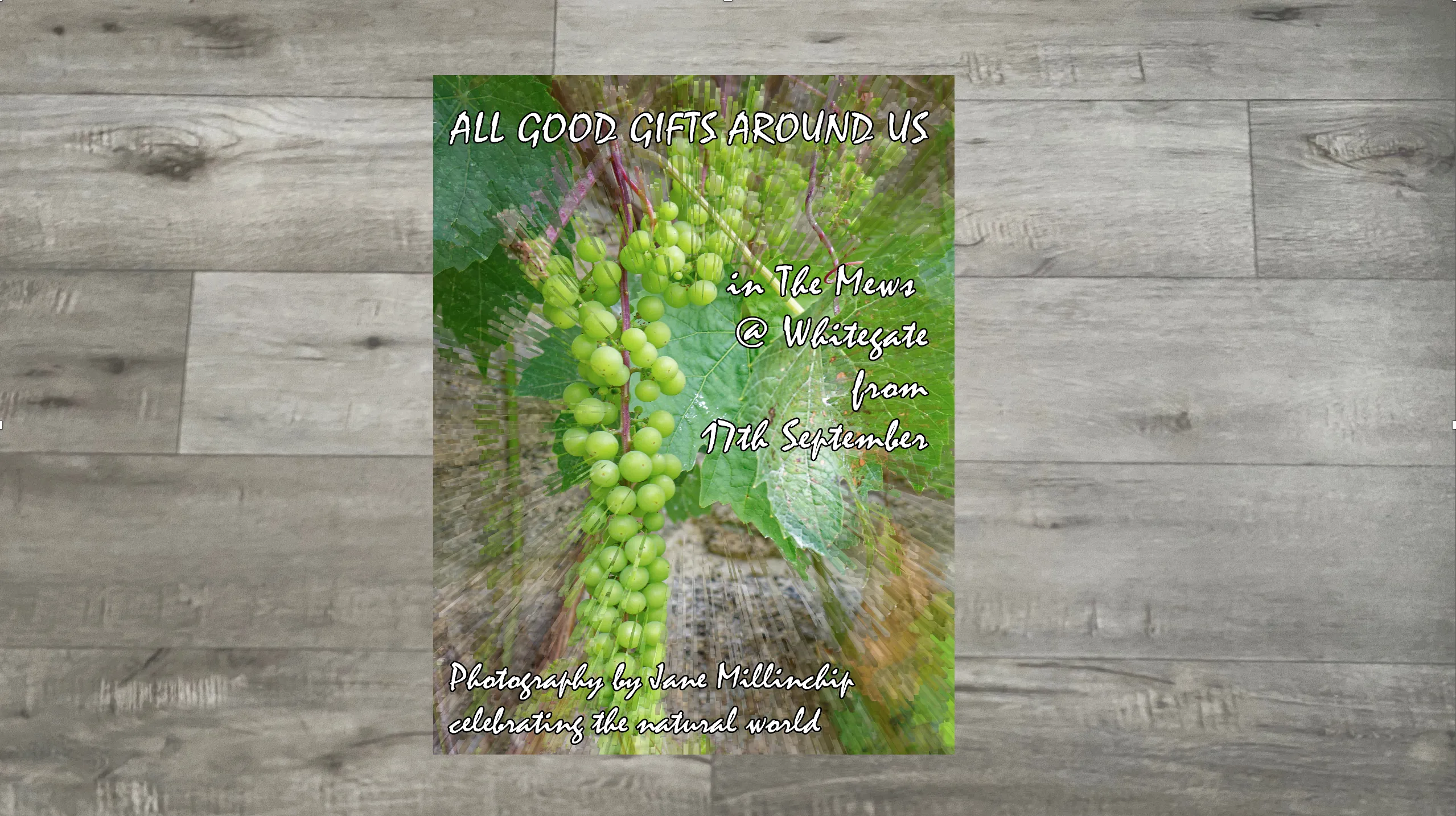 Poster advertising Photographic Exhibition with bunch of grapes.
