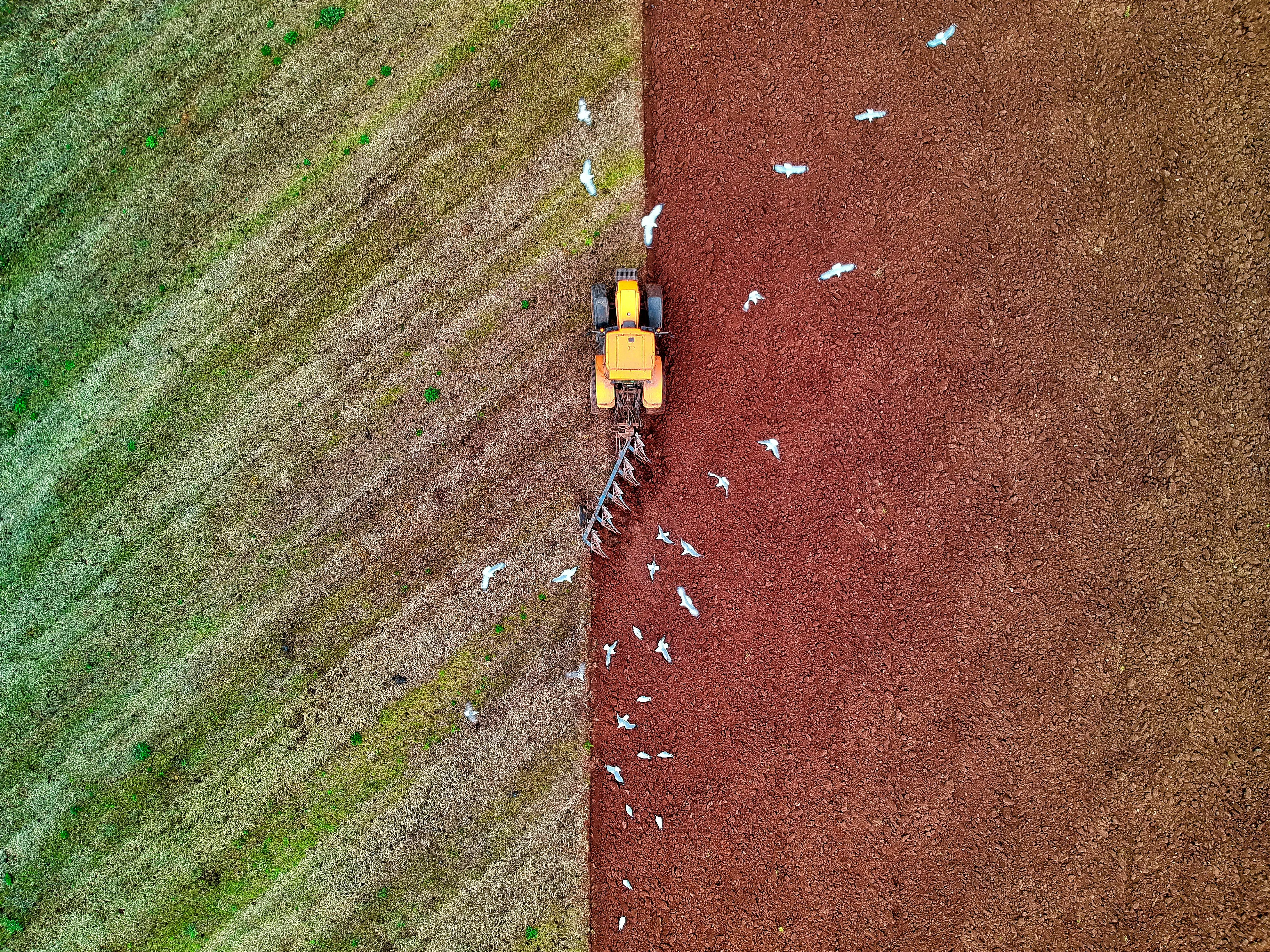 Aerial view of a yellow tractor ploughing a field