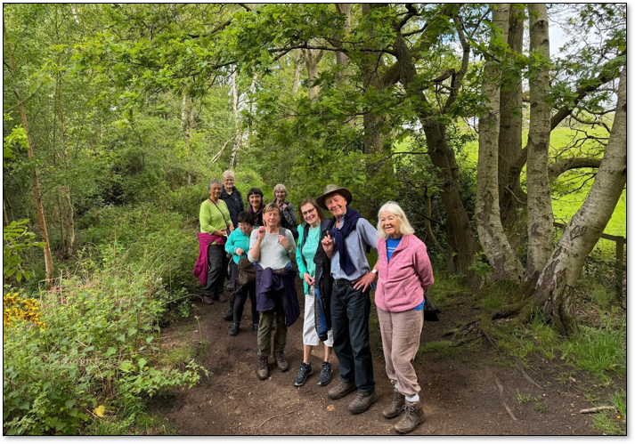 Whitegate Amblers surrounded by trees in Little Budworth Country Park 