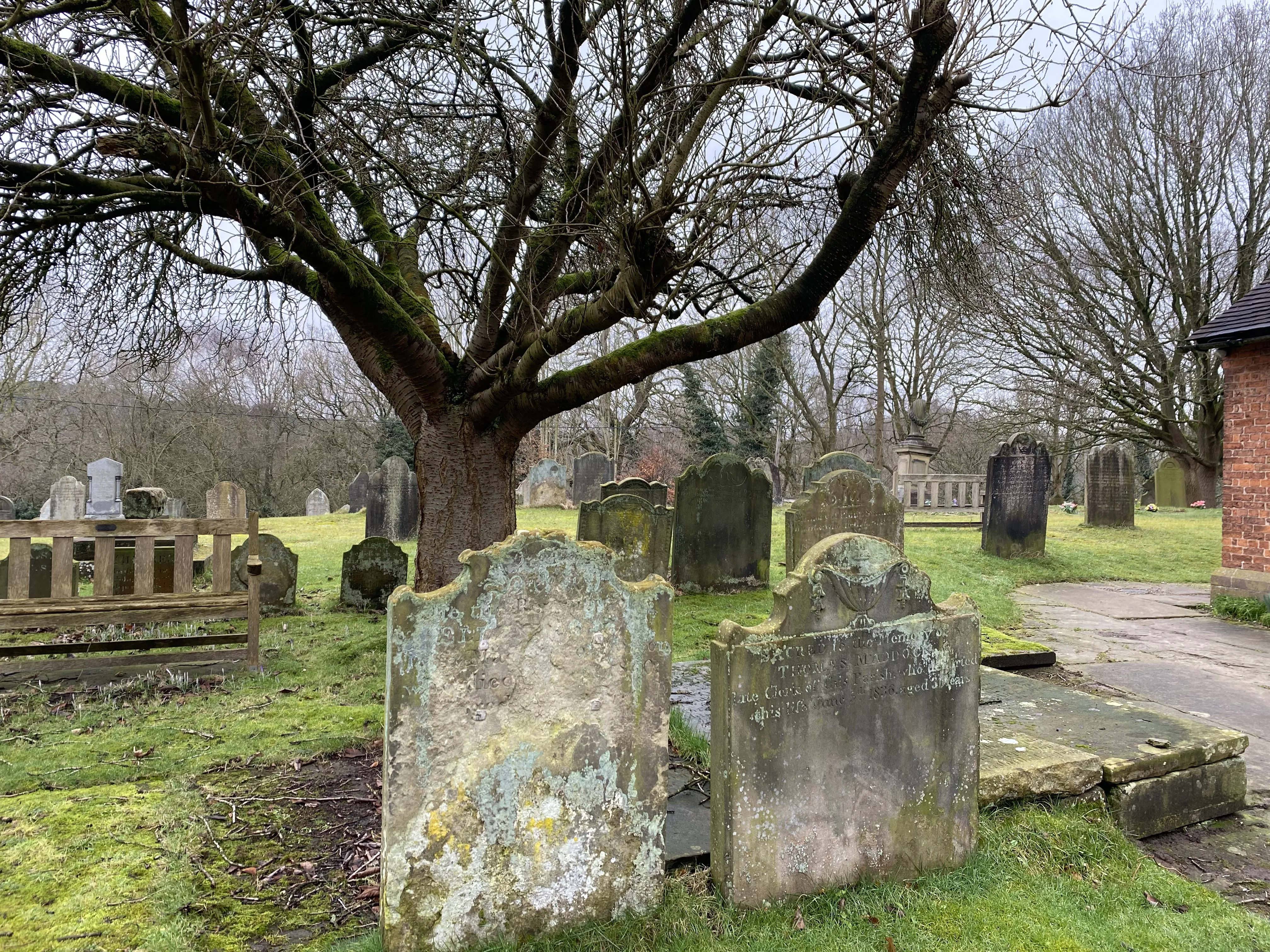 Photo across St Mary's graveyard with two old gravestones in the foreground and a bare tree behind.