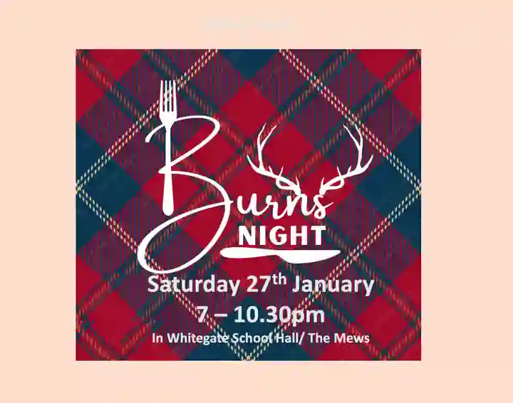 A poster advertising Burns Night Supper. A tartan background with a knife, fork and antlers added to the words